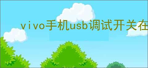 vivo手机usb调试开关在哪