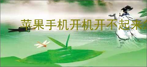 苹果手机开机开不起来怎么办