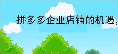 拼多多企业店铺的机遇，拼多多企业店铺的特点是什么？