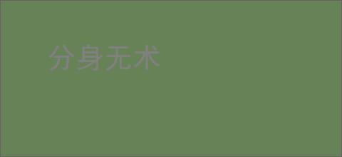 分身无术