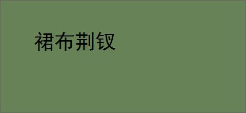 裙布荆钗