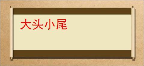 大头小尾