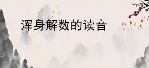 浑身解数的读音