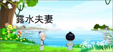 露水夫妻