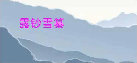 露钞雪纂