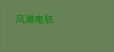 风激电骇