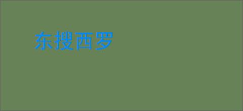 东搜西罗