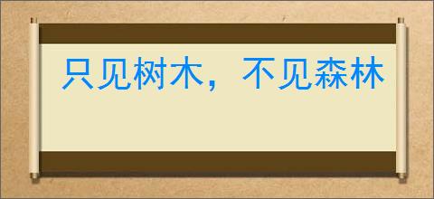 只见树木，不见森林