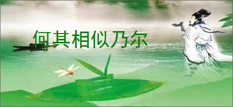 何其相似乃尔