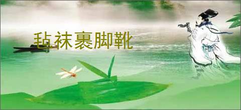 毡袜裹脚靴
