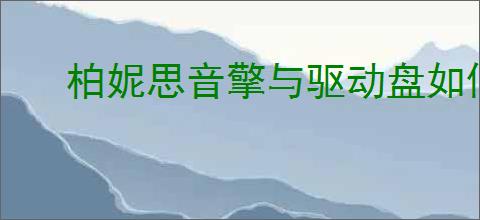 柏妮思音擎与驱动盘如何终极搭配