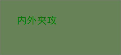 内外夹攻