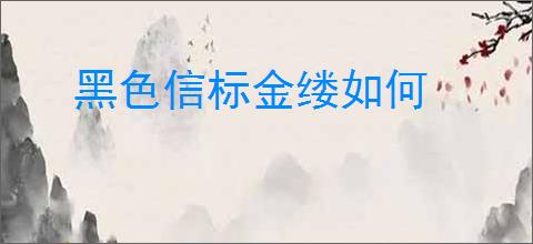 黑色信标金缕如何