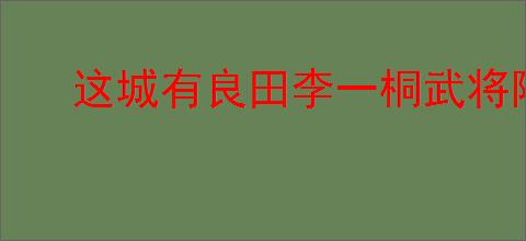 这城有良田李一桐武将阵容如何搭配