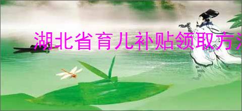 湖北省育儿补贴领取方法