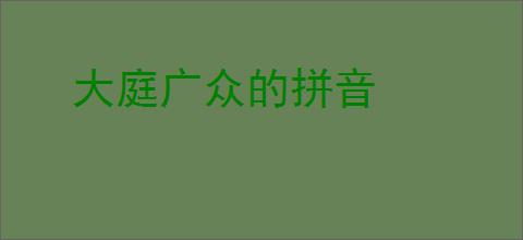 大庭广众的拼音