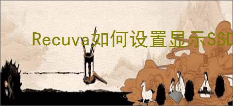 Recuva如何设置显示SSD驱动器