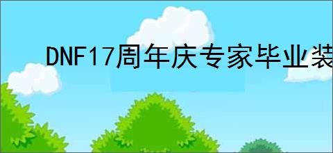 DNF17周年庆专家毕业装备如何搭配