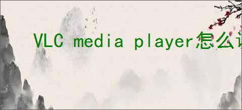 VLC media player怎么调整音频效果