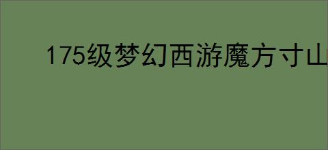 175级梦幻西游魔方寸山装备怎么展示