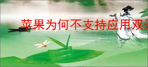 苹果为何不支持应用双开