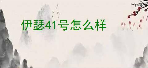 伊瑟41号怎么样