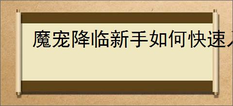 魔宠降临新手如何快速入门