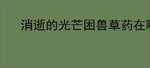消逝的光芒困兽草药在哪采摘