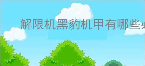 解限机黑豹机甲有哪些必要技巧