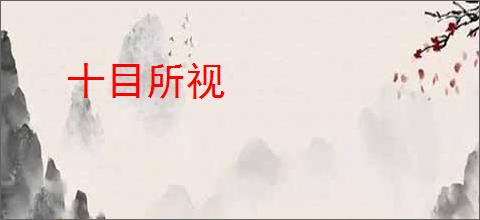 十目所视