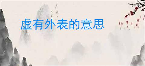 虚有外表的意思
