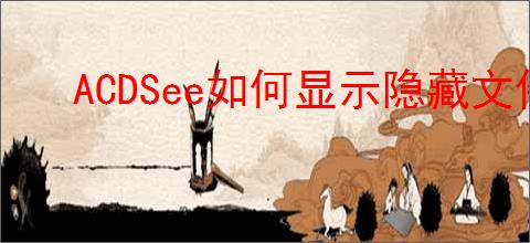 ACDSee如何显示隐藏文件