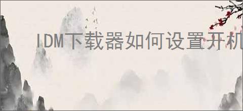 IDM下载器如何设置开机自启动