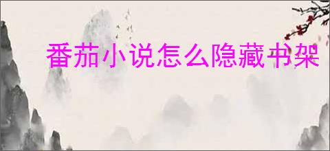 番茄小说怎么隐藏书架