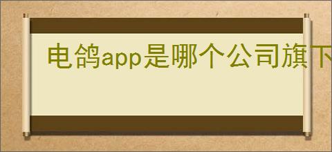 电鸽app是哪个公司旗下的