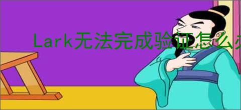 Lark无法完成验证怎么办