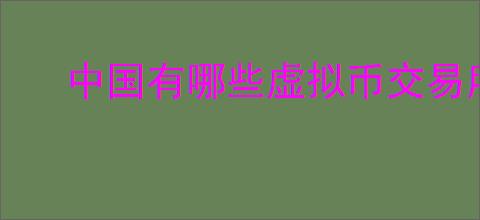 中国有哪些虚拟币交易所平台