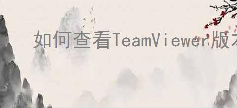 如何查看TeamViewer版本号