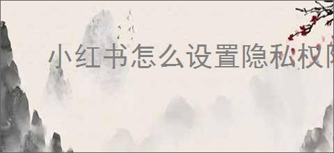 小红书怎么设置隐私权限