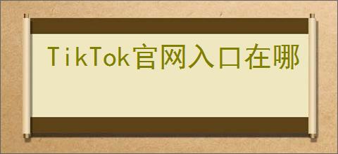 TikTok官网入口在哪