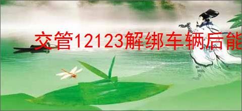 交管12123解绑车辆后能否再次绑定