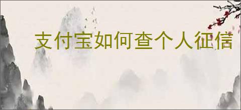 支付宝如何查个人征信