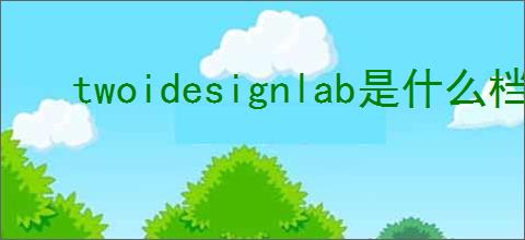 twoidesignlab是什么档次