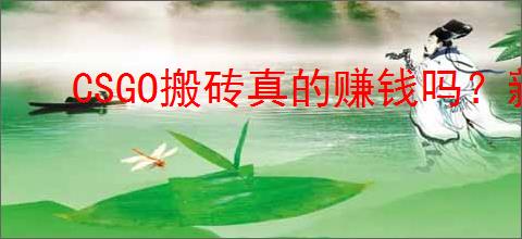 CSGO搬砖真的赚钱吗？新手该如何快速开启搬砖之路？