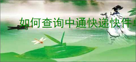 如何查询中通快递快件单号