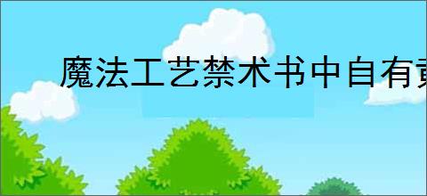 魔法工艺禁术书中自有黄金屋终极防御指南是什么