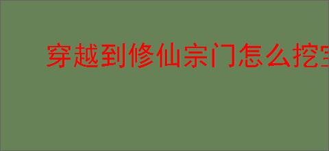 穿越到修仙宗门怎么挖宝
