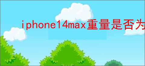 iphone14max重量是否为200g