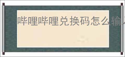 哔哩哔哩兑换码怎么输入