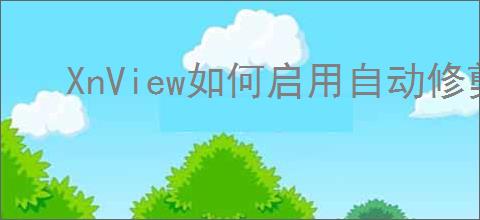 XnView如何启用自动修剪功能